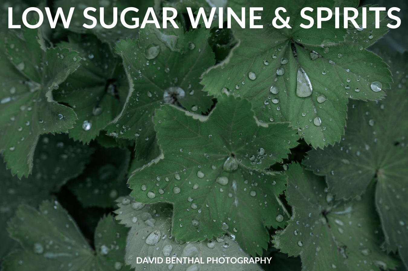 Wine and Spirits - Low Sugar