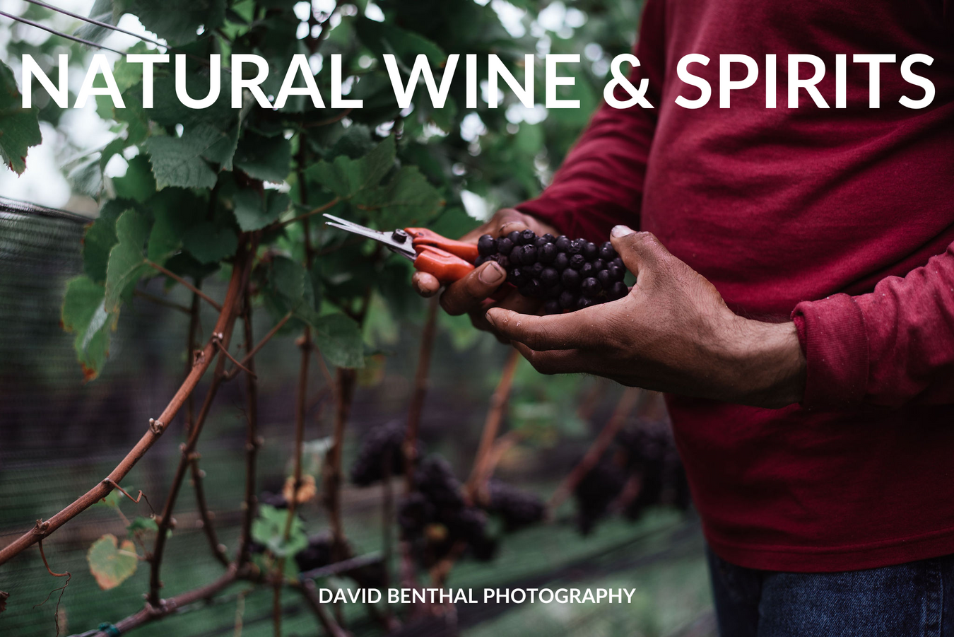 Wine and Spirits - Natural