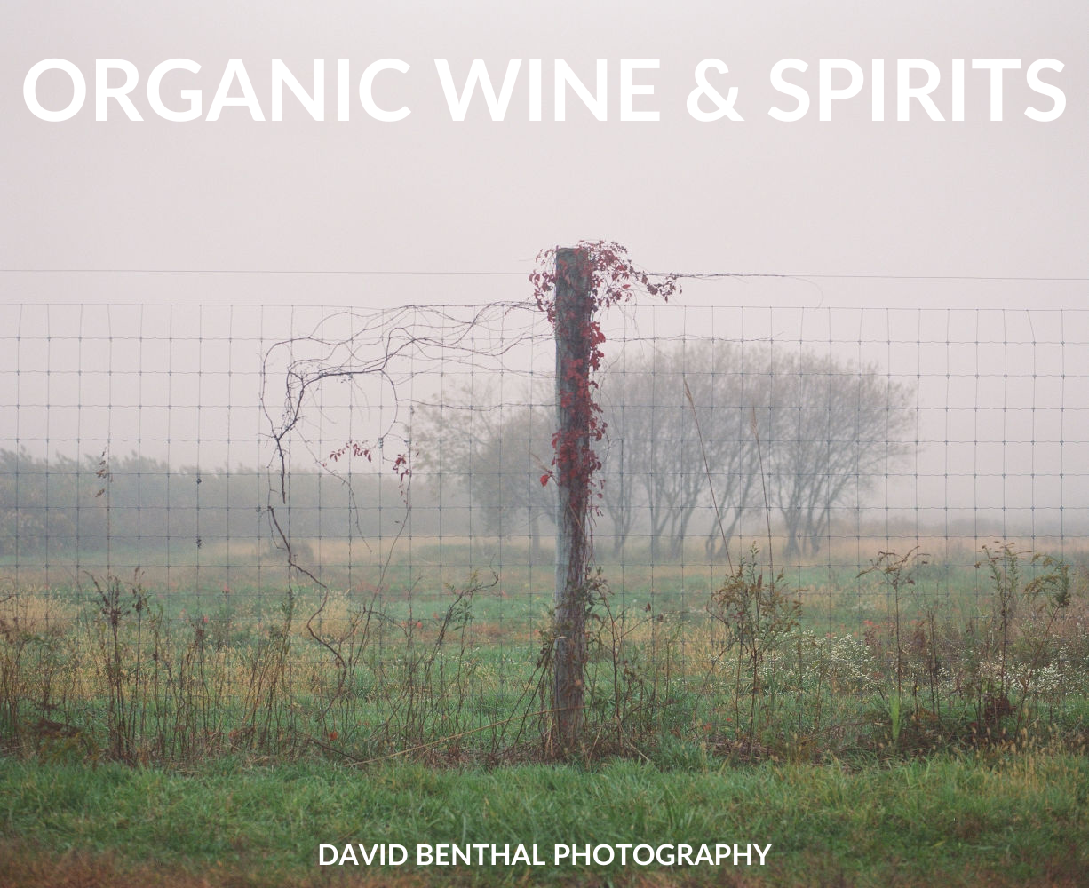 Wine and Spirits - Organic