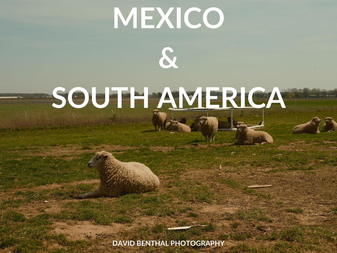 Wine and Spirits - South America and Mexico