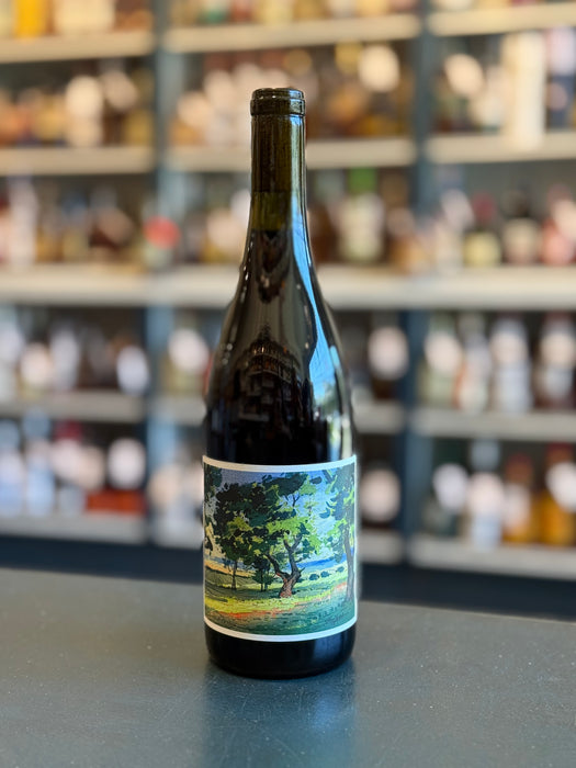 JOHAN VINEYARDS 'WILLAMETTE VALLEY' PINOT NOIR, OREGON 2022