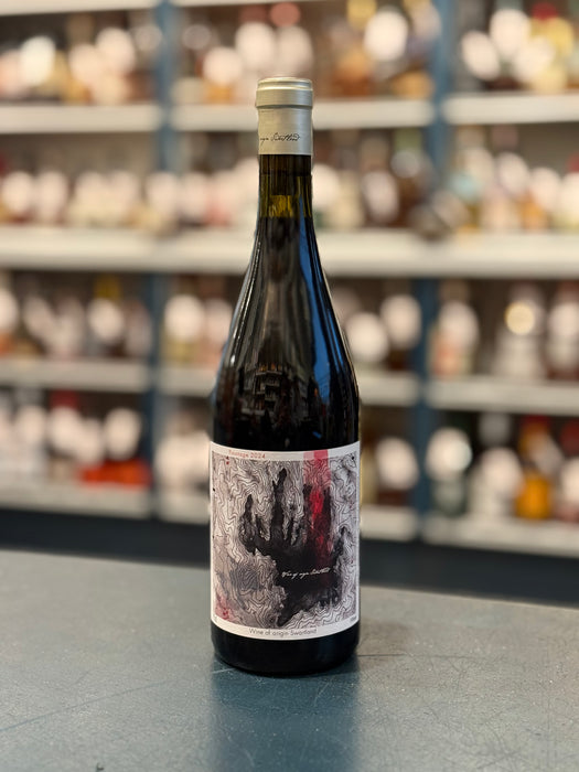 DAVID & NADIA 'TOPOGRAPHY' PINOTAGE, SOUTH AFRICA 2024